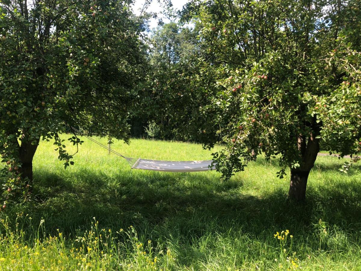 Sonnenhof Daire Limbach im Burgenland Dış mekan fotoğraf