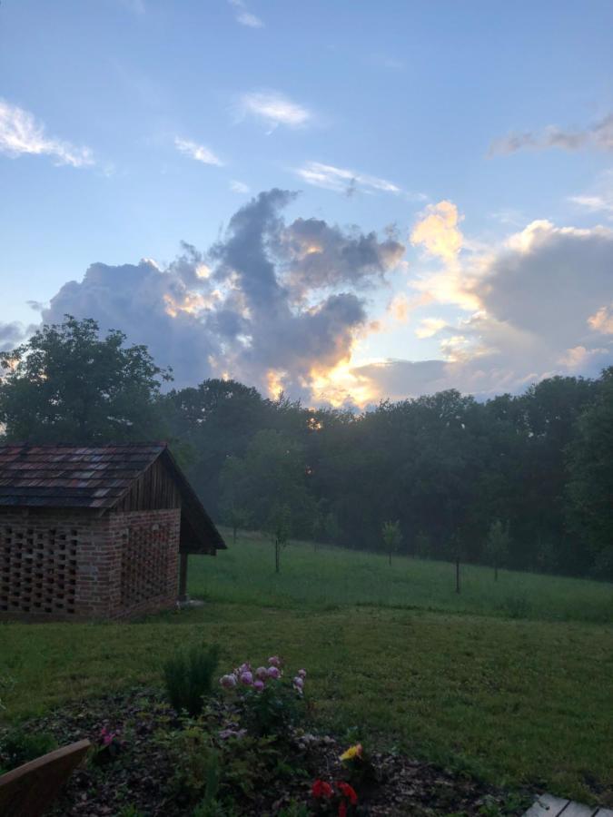 Sonnenhof Daire Limbach im Burgenland Dış mekan fotoğraf