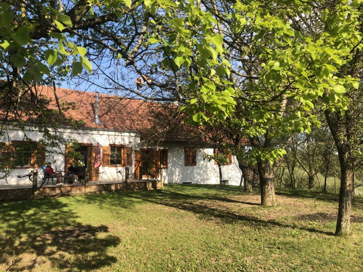 Sonnenhof Daire Limbach im Burgenland Dış mekan fotoğraf
