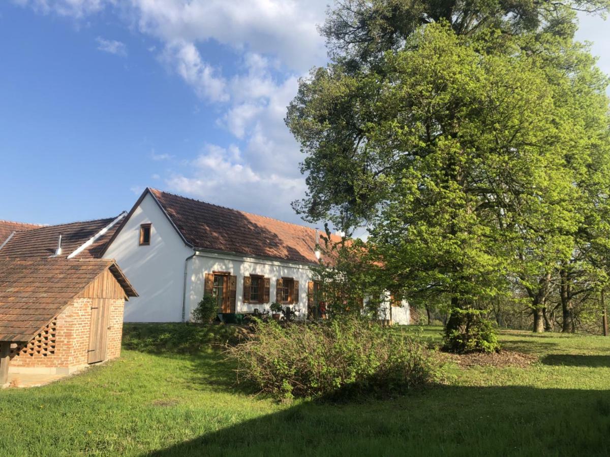 Sonnenhof Daire Limbach im Burgenland Dış mekan fotoğraf