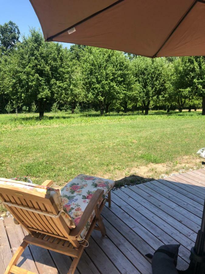 Sonnenhof Daire Limbach im Burgenland Dış mekan fotoğraf
