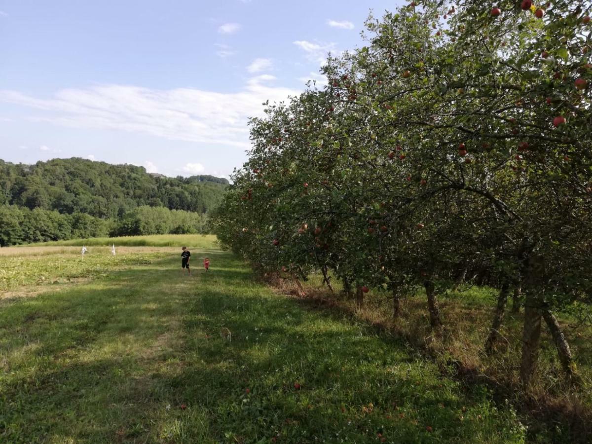 Sonnenhof Daire Limbach im Burgenland Dış mekan fotoğraf