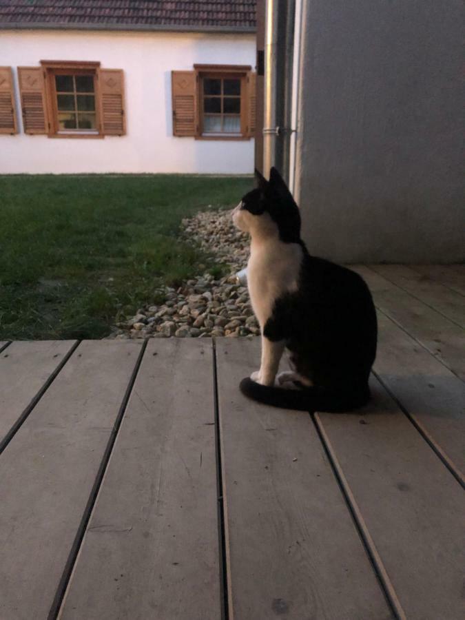 Sonnenhof Daire Limbach im Burgenland Dış mekan fotoğraf