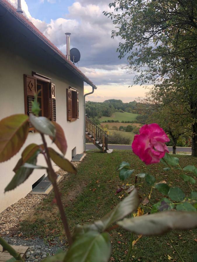 Sonnenhof Daire Limbach im Burgenland Dış mekan fotoğraf